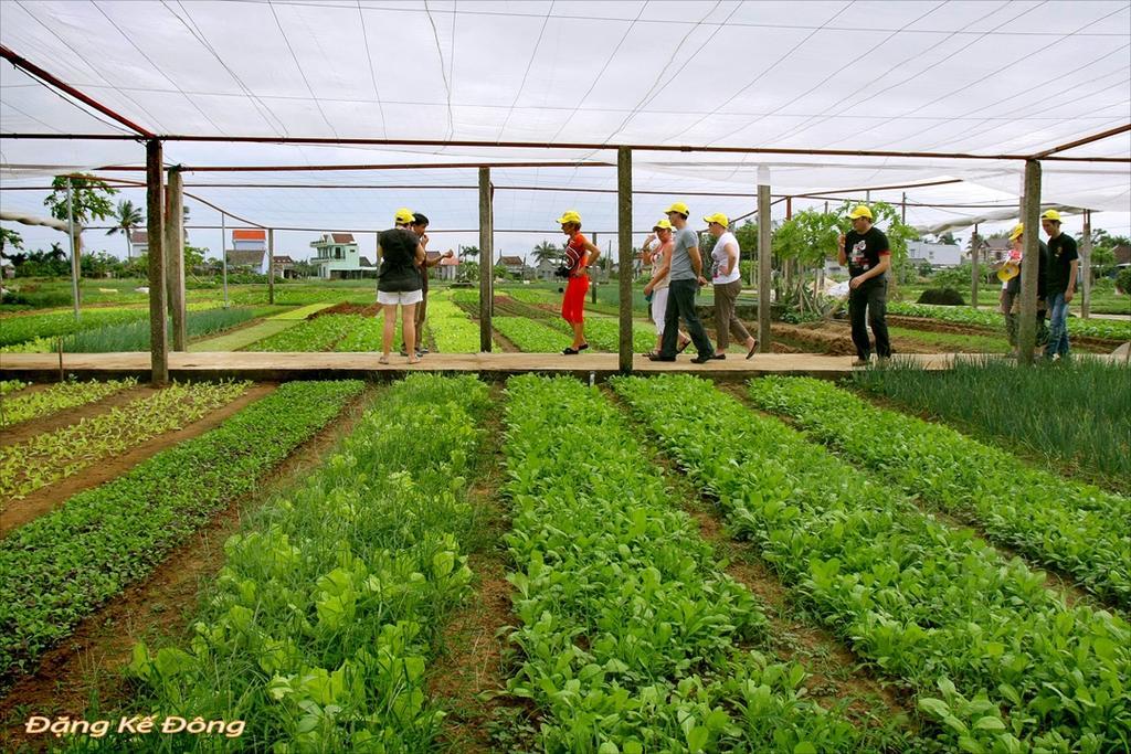Dong Nguyen Riverside Homestay Hội An Buitenkant foto